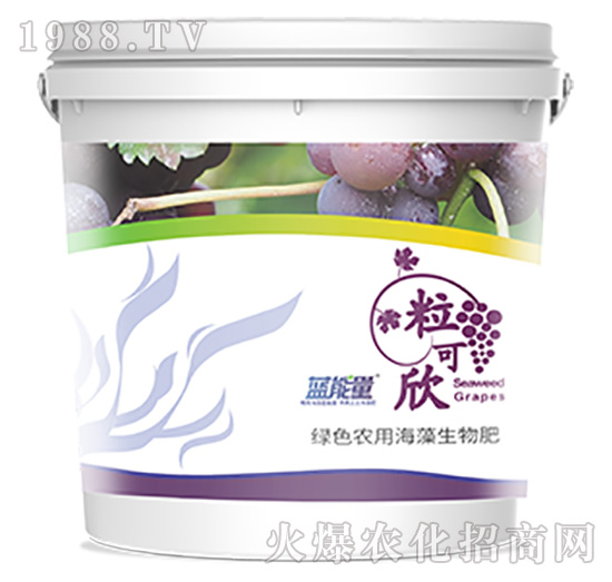 ������-�{(l��n)����