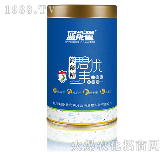 ���徫-�̃�(y��u)�S-�{����