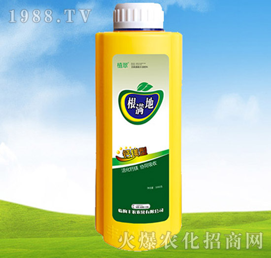 ���M��-ֲ��-�S�r�r��