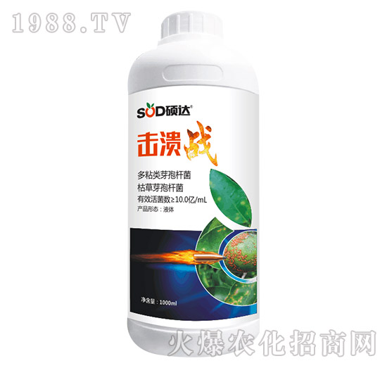 ������(zh��n)-�T�_