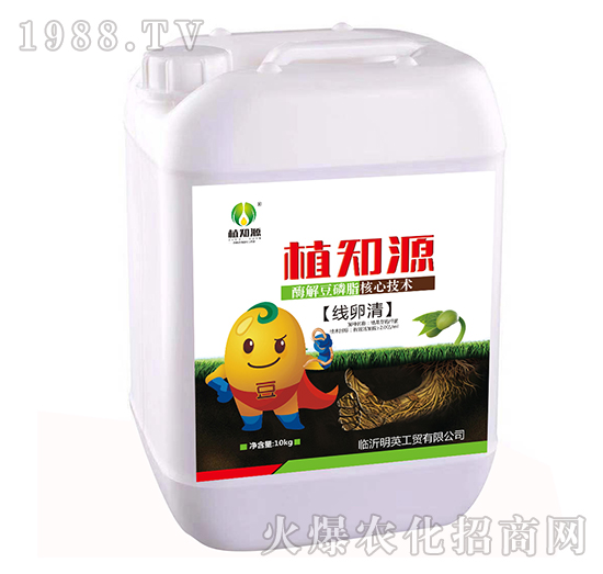 ��(xi��n)����-ֲ֪Դ-��Ӣ���Q(m��o)