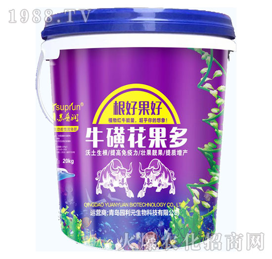 ���ǻ�����-�@��Ԫ