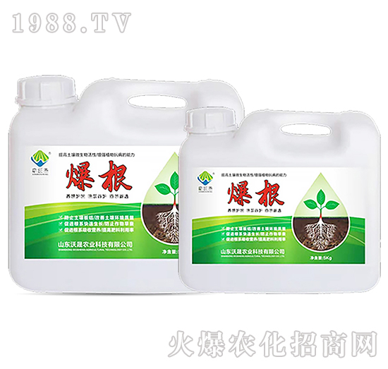 ����2-�����r(n��ng)�I(y��)