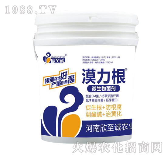 ΢�������-Į����-�����\