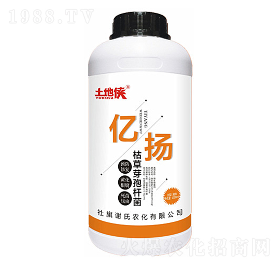 �|�P���ݲ�ѿ�ߗU����-���؂b-�x���r��