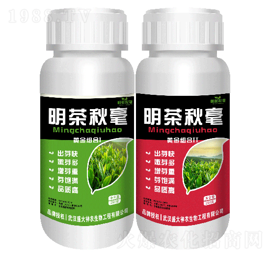 �������-ʢ������