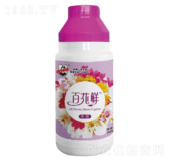 ٻr(zhng)-