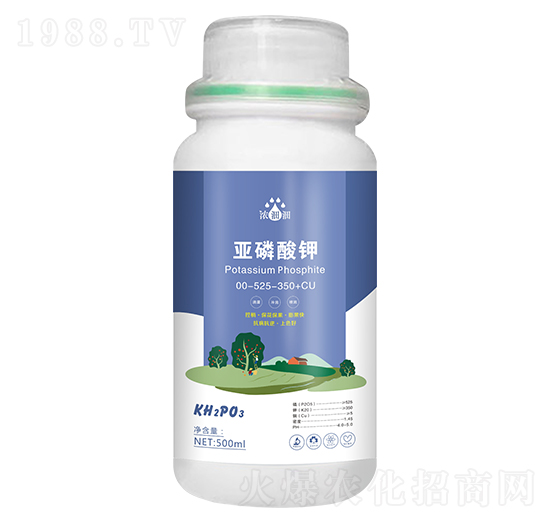 �������-��p�p-�������