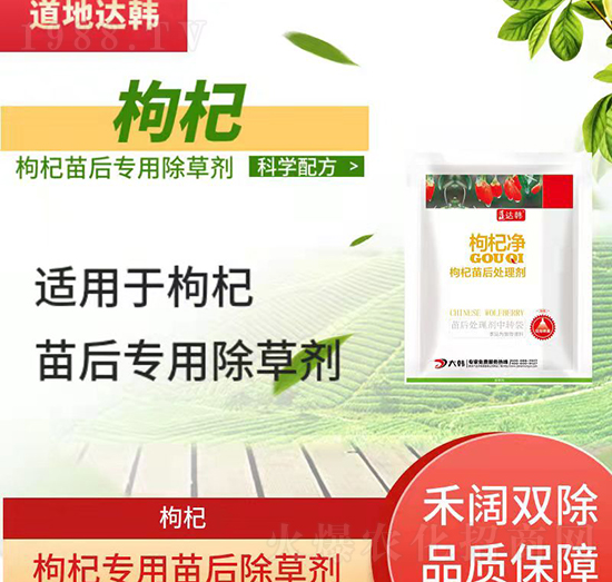 轳݄--轌(zhun)-n