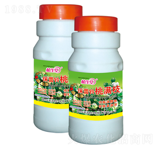 保蕾鈴桃滿枝 植生堂 萊利生物