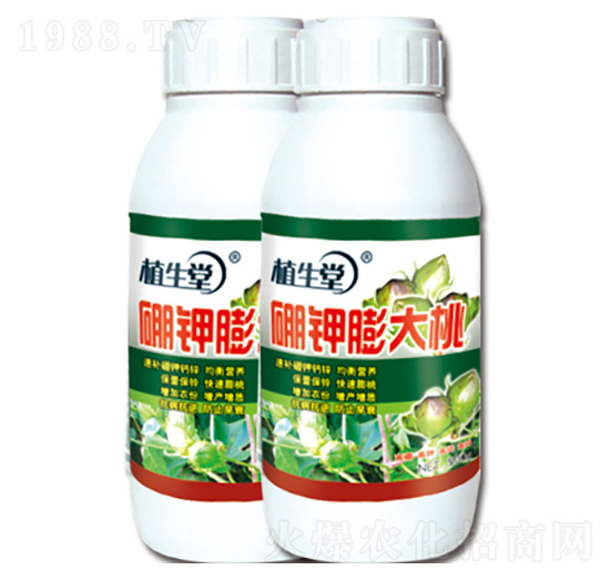 硼鉀膨大桃 植生堂 萊利生物