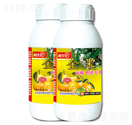 ��� ֲ���� �R������