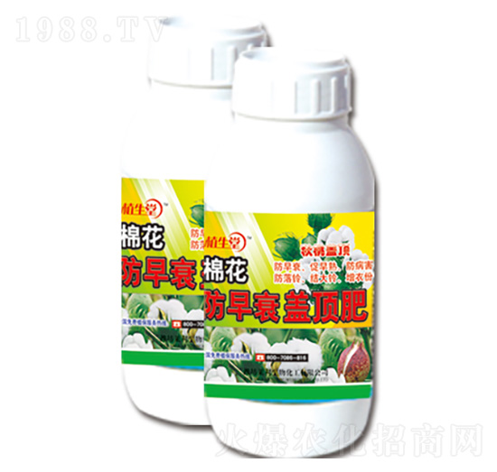 棉花防早衰蓋頂肥 植生堂 萊利生物