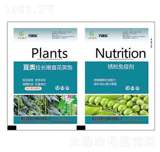 ������L(zh��ng)��ֱ���v�+�P�����߄� ��(r��n)��