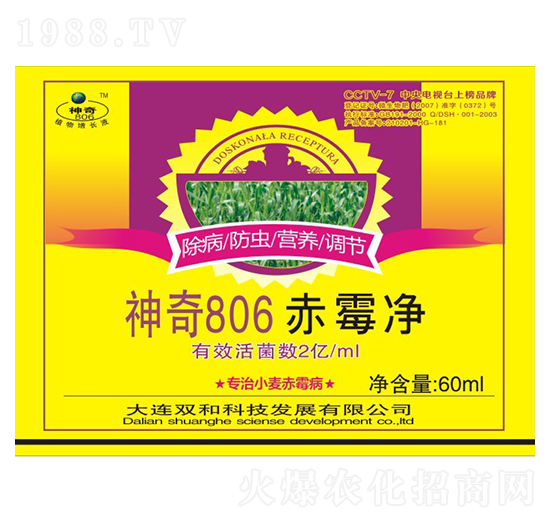 ù 806 pͿƼ