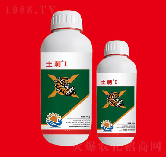 25ÿЧȷ I ȽW(xu)