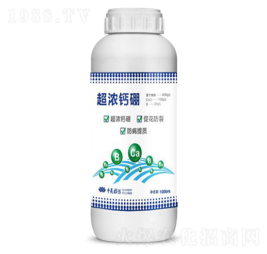 �����}�� ǧ��ֲ��