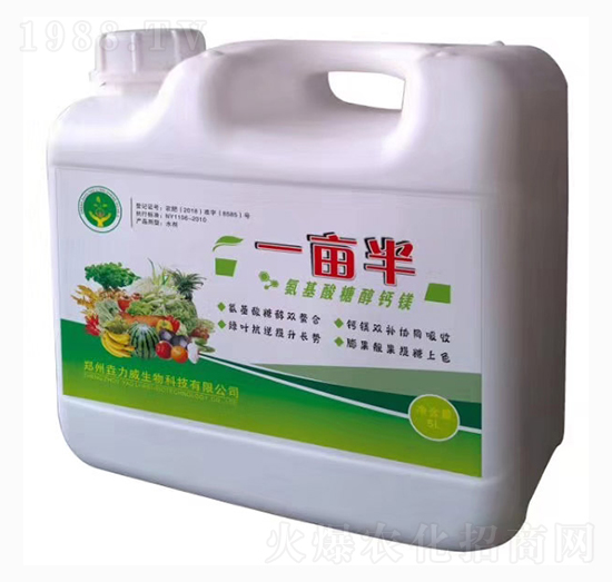 �������Ǵ��}�Vһ����-������