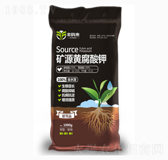 �VԴ�S�����-�S�Ɓ�-����������