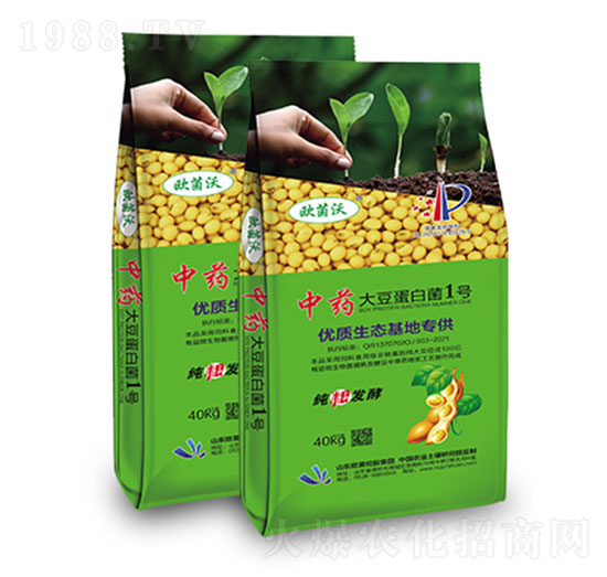 ��ˎ���󶹵��׾�1̖-�W�����F(tu��n)