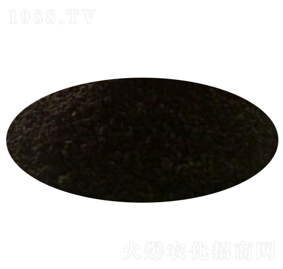 �l(f��)���u�S-������ʘI(y��)