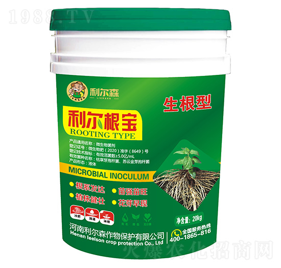 20kg΢�������-��������-����ɭ