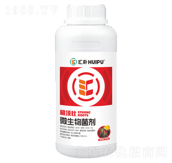 ΢�������-��횉�-�R��