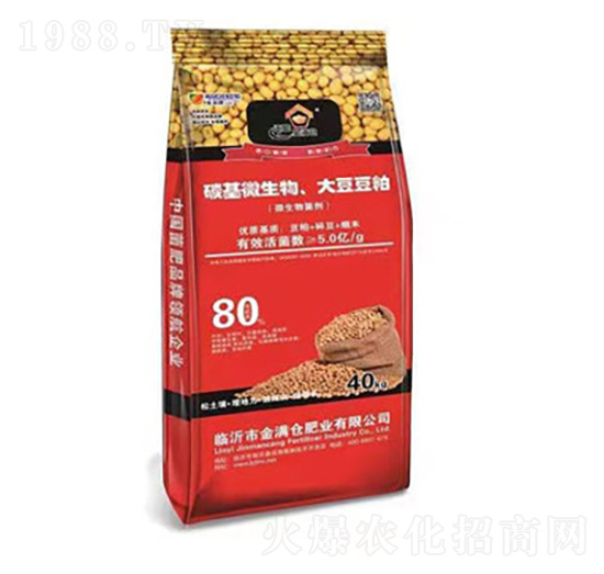 ̼��΢����󶹶���-��M�}