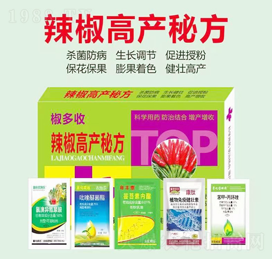 �����߮a�ط�-������-�滯���h