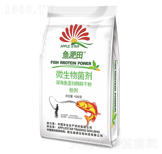 ΢�������-�~����-��T����