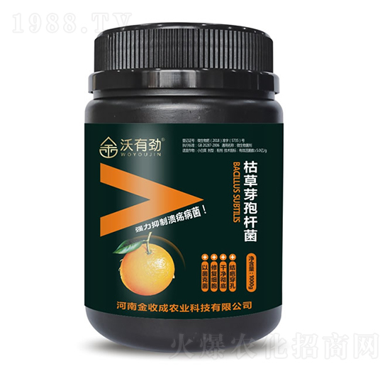 �ݲ�ѿ�ߗU��-���Є�-���ճ�