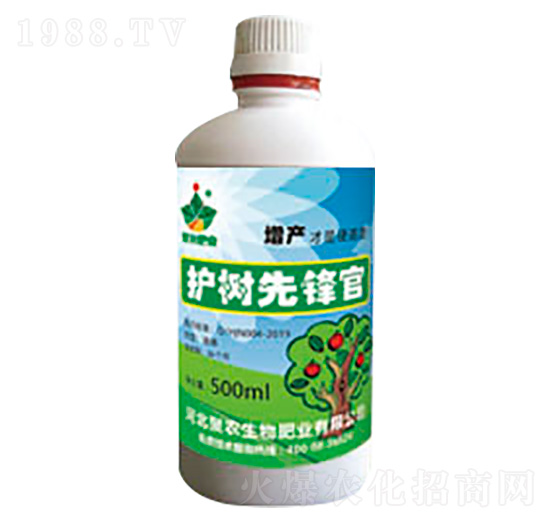 �o�����h��-���r����