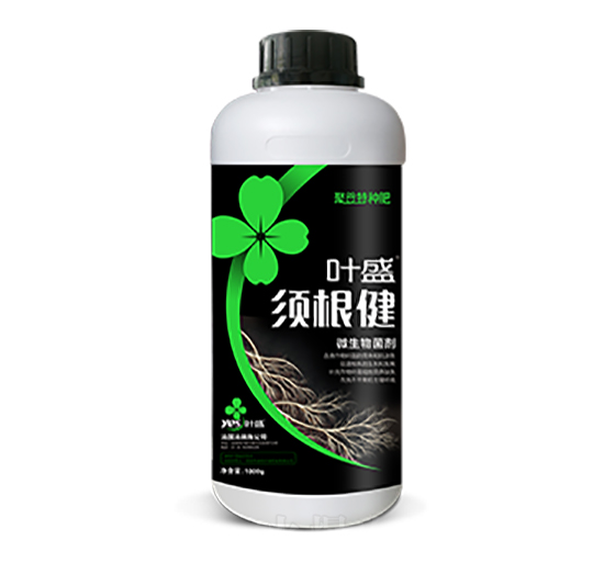 횸���-�~ʢ����