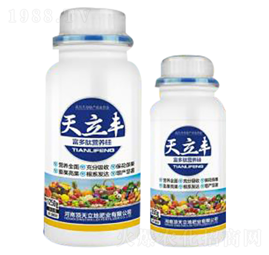 �����ĠI�B(y��ng)��-�����S-�������