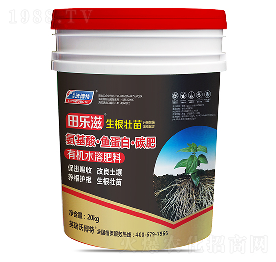 �����ᡤ�~���ס�̼��-��̡���������-Ӣ���ֲ���