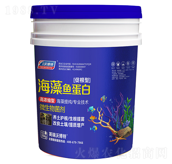 �����~���ף��ٸ��ͣ�-Ӣ���ֲ���