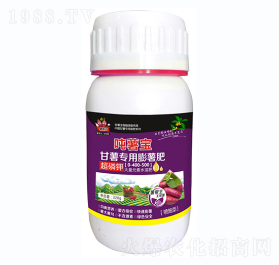 팣(zhun)0-400-500-팚-A(l)