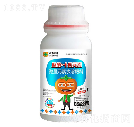 ��ø��ʮ��Ԫ��-������