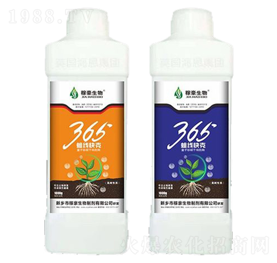365(xin)ˣƿ-ں