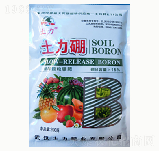 ������-�����ʘI(y��)