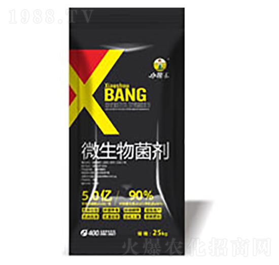 25kg΢�������-����������