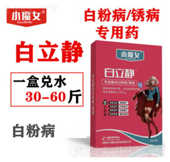 �׷۲����P������ˎ-�����o-СħŮ-���н�