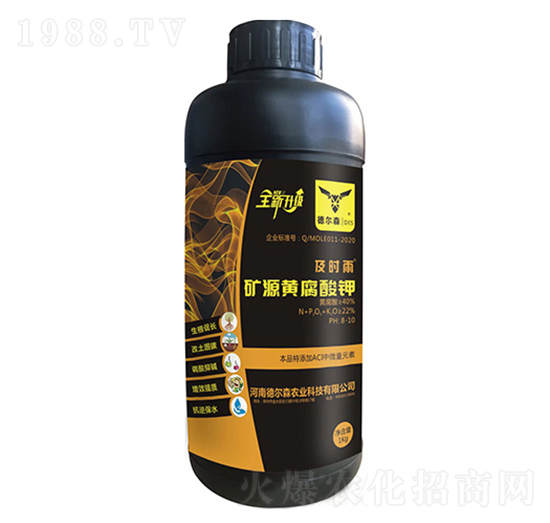 �VԴ�S�����-���r��-�Ʒ�