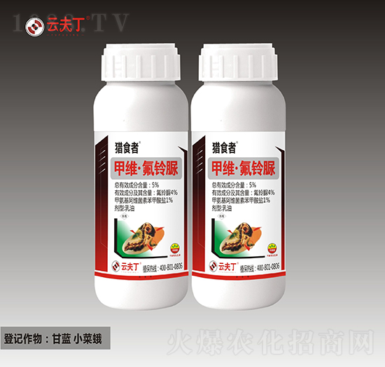 5%�׾S�������-�Cʳ��-�Ʒ�