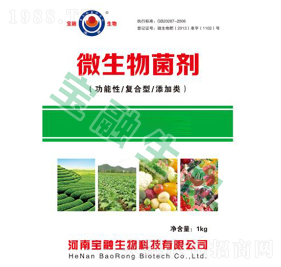 ΢������������������ͺ��͡������-��������