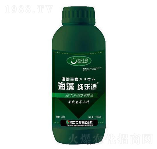 ���往���m-������