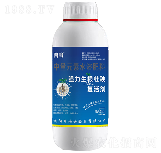 �������������(f��)�τ�-���Q