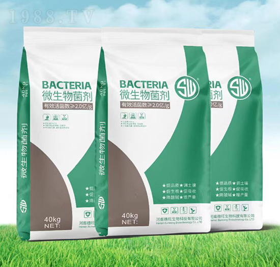 ΢�������-��������