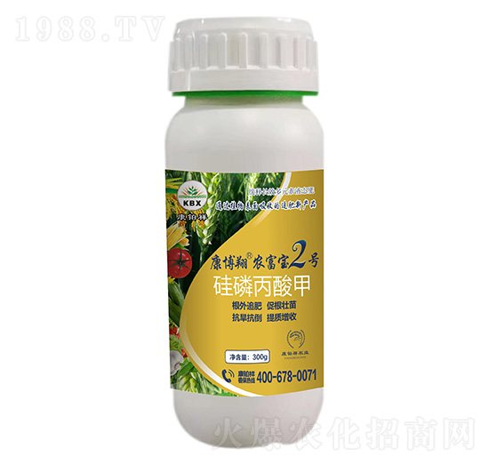 ��һԪ��-�r(n��ng)����2̖-���K��