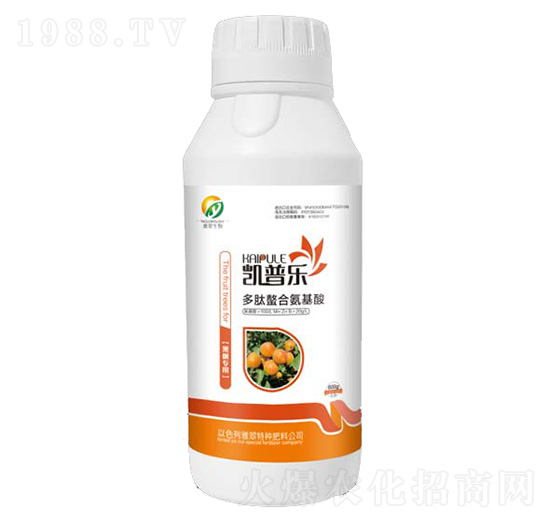 ���䌣�ö������ϰ�����-�P�՘�-�Ŵ�����